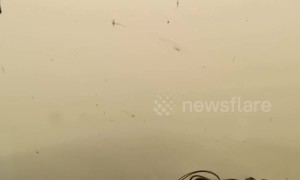 Massive sandstorm causes extremely low visibility in China's Xinjiang