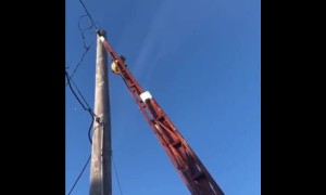 Firefighters help encourage kitty cat down pole