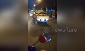 Heartbreaking moment pet dog chases owner's car after 'being left behind'