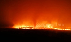 Firefighters battle major forest fire at China-Russia border