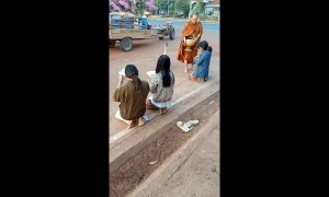 Adorable moment duck joins Buddhist monk on his morning walk