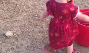 Kiddo Gives Good Night Kisses to Her Horses