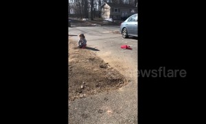After a long winter this three-year-old was shocked to hear the birds singing