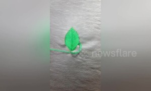 Skilful woman shows incredible hand sewing tricks in China's Shaanxi