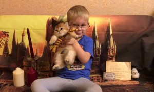 Ten Points to Kittendoor