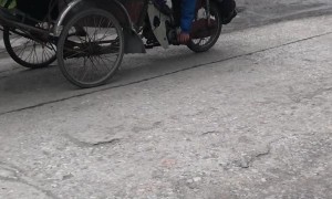 Bike Carries More than You'd Think