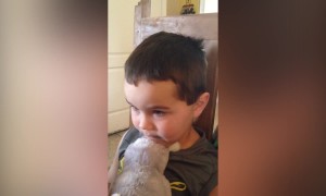 Kid gets Caught in Candy Lie!