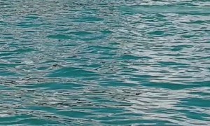 Police Pursue Runaway Boat