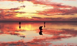 Amazing Sunset Attracts Crowd of Photographers