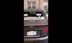 Vicious hail storm in Texas smashes through car windshields