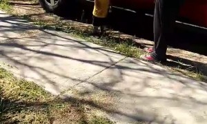 Arguing with a 2-Year-Old