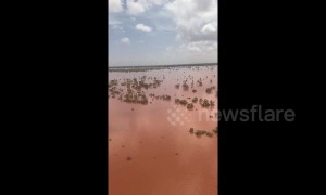 Aerial footage shows flood-ravaged Western Australia region