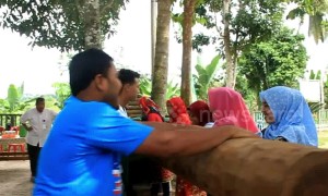 Traditional sugar production in Indonesia uses tree trunks to grind the cane