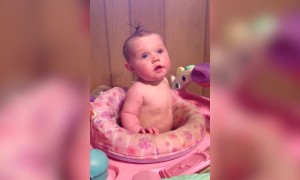 Baby Can't Stop Laughing at a Bucket on her Head