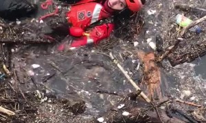Emotional Rescue of Small Dog from Icy River