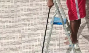 Pesky Possum Causes Quite the Scare