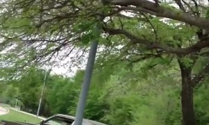 Granny Riding Dirty Down the Sidewalk