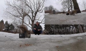 Squirrel steals GoPro and runs up a tree