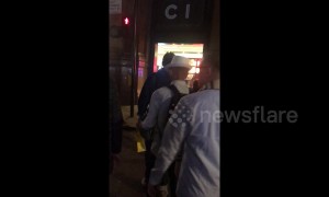 Team of brazen pickpockets filmed stealing from tourists near London's Piccadilly Circus