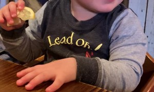 Tommy Tenaciously Tries a Tart Treat