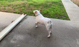 Milo's Stretching Sequence