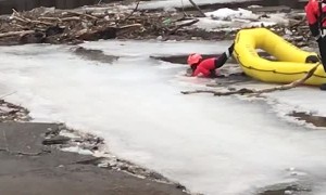 Stranded Dog Rescued from Frozen River