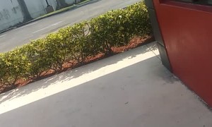 Woman Jumps Over Counter to Fight at Fast Food Restaurant