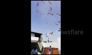 Hundreds of saris sent flying by high winds in eerie clip from west India