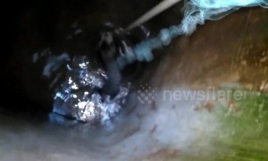Heartwarming moment a kitten is rescued from a deep well