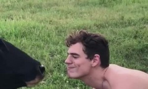 Man Gets a Kiss from a Cow