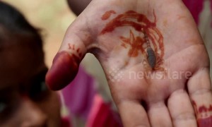 Bizarre south Indian festival sees people play with deadly poisonous scorpions