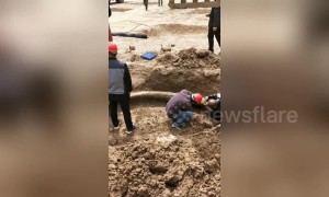 Ancient fossilised ivory discovered on construction site in China’s Henan