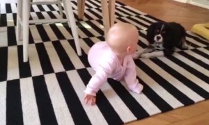 Pup and Baby are BFFs!