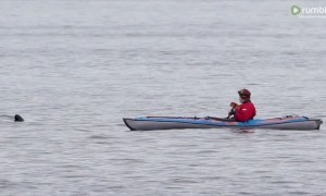Killer whale unbelievably swims right beside man in kayak