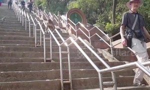 Clever monkey slides down railings as shortcut at Nepal temple