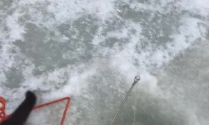 Fisherman Gives Mink a Proper Meal