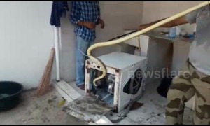 'Taking laundry for a sssspin?' Rescued snake found hiding in washing machine in India