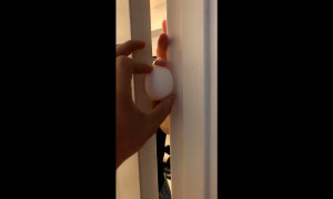 Kid tricks mom with hilarious egg prank