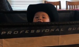 Baby Bull Rider Birthday Present