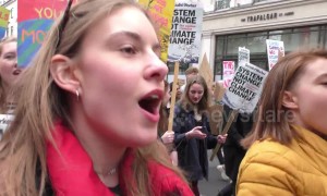 Youth climate change protests across UK