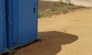 Serious Port-a-Potty Entertainment