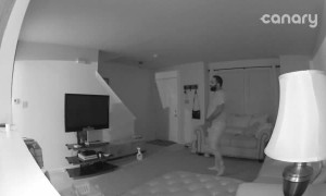 Steps Are Best Operated Sober