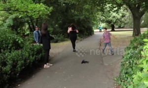 Irish prankster scares park-goers with fake spider