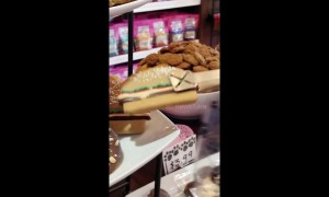 US Dog bakery shop makes cookies good enough for humans to eat