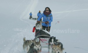 Fjällräven Polar event sees over 200 sled dogs travel 300km through Scandinavia