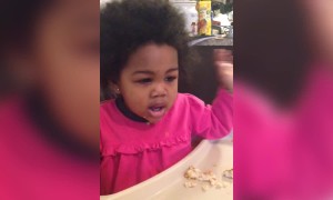 Cute Little Girl has Lots to Say