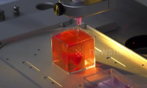 Heart-maker? Israeli university 3D prints miniature human heart in medical breakthrough