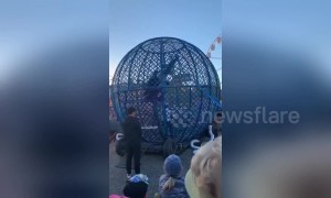 Highspeed 'Globe of Death' stunt sees 2 motorbike riders collide in Sydney