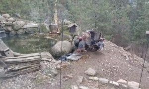 Grumpy Gang of Turkeys