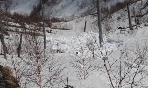 Tourists Capture Avalanche on Mountain Range